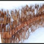 "Circles of Time": Snow James_Fuhrman_Installation_CircleTime_10