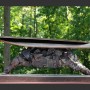 James_Fuhrman_Sculpture_Gallery_Scale_ Deep_Time_Lies_Within_1