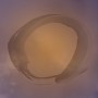 Enso Ink Painting James Fuhrman