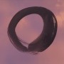 Enso Ink Painting James Fuhrman